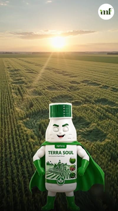 Terra Soul reel